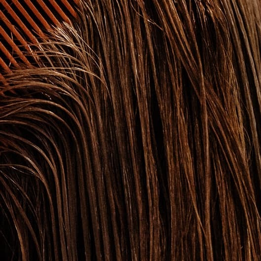 Wash & Blow at Marsi Beauty Artistry in McAllen, TX